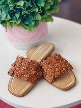 Brown floral sandals on a white surface with a green plant in the background