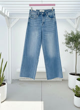 Light blue jeans on a hanger against a white background with plants around